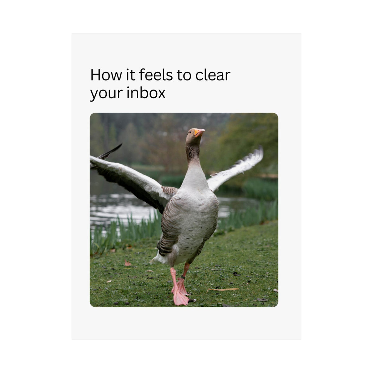 Clear Your Inbox Goose Matte Poster
