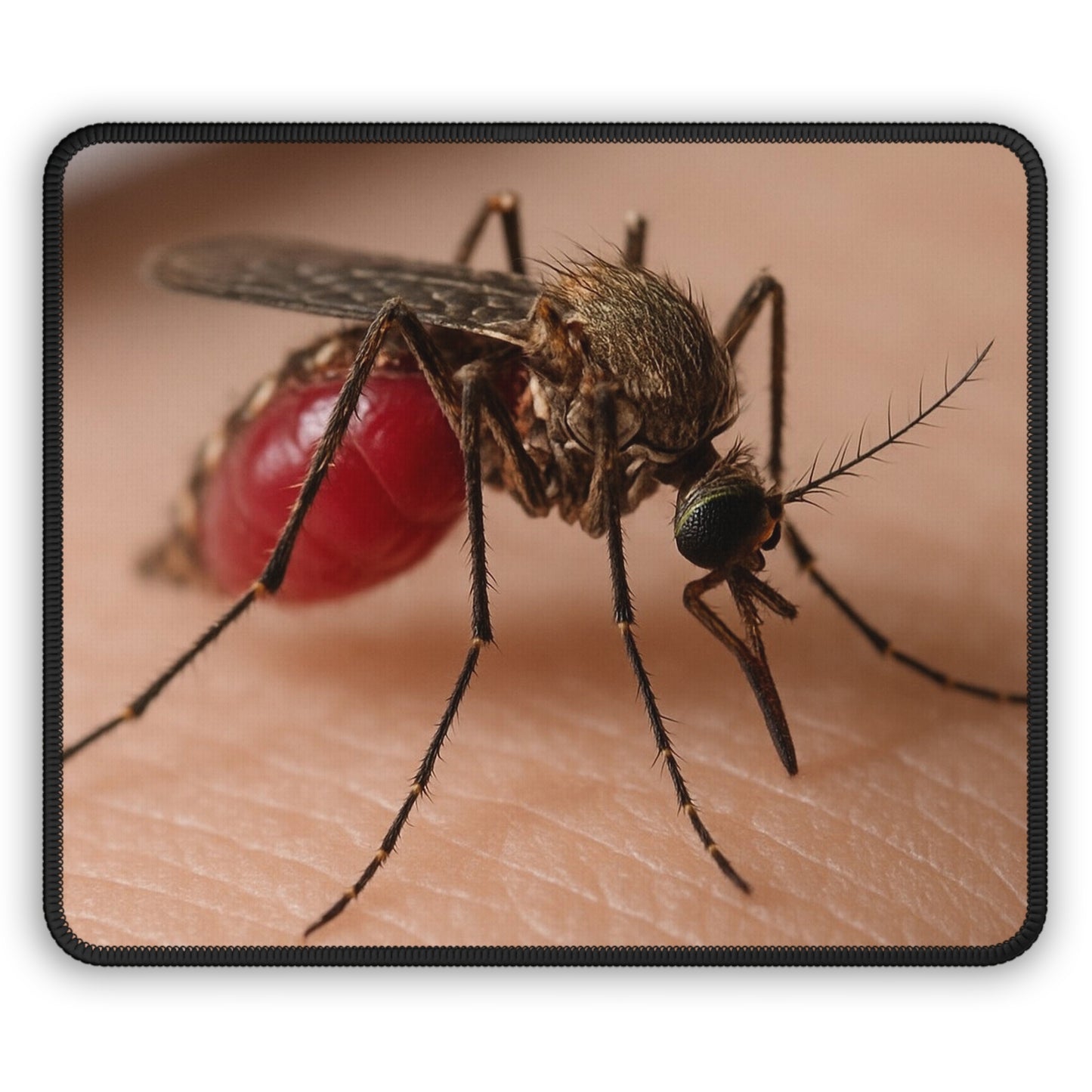 Mosquito Feeding Macro Mouse Pad