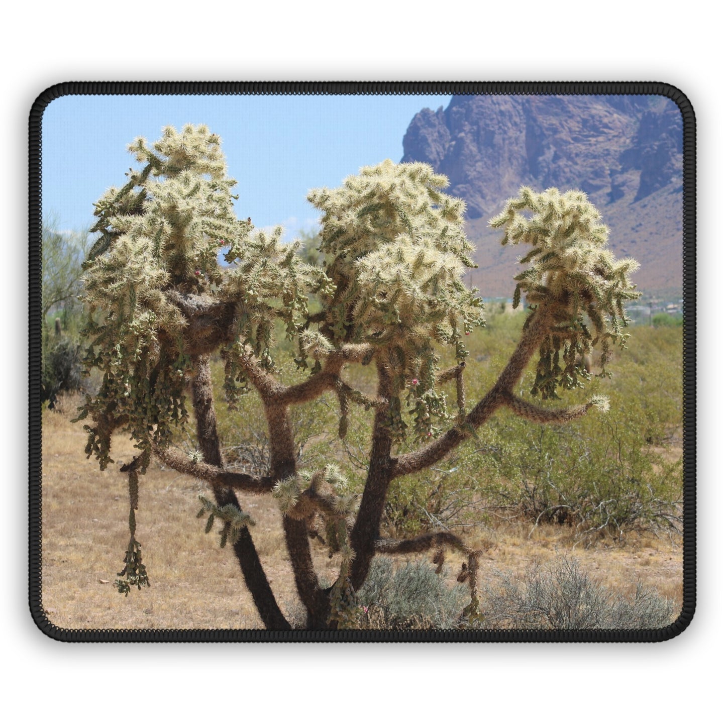 Desert Cholla Cactus Mouse Pad