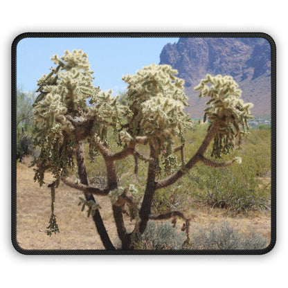 Desert Cholla Cactus Mouse Pad
