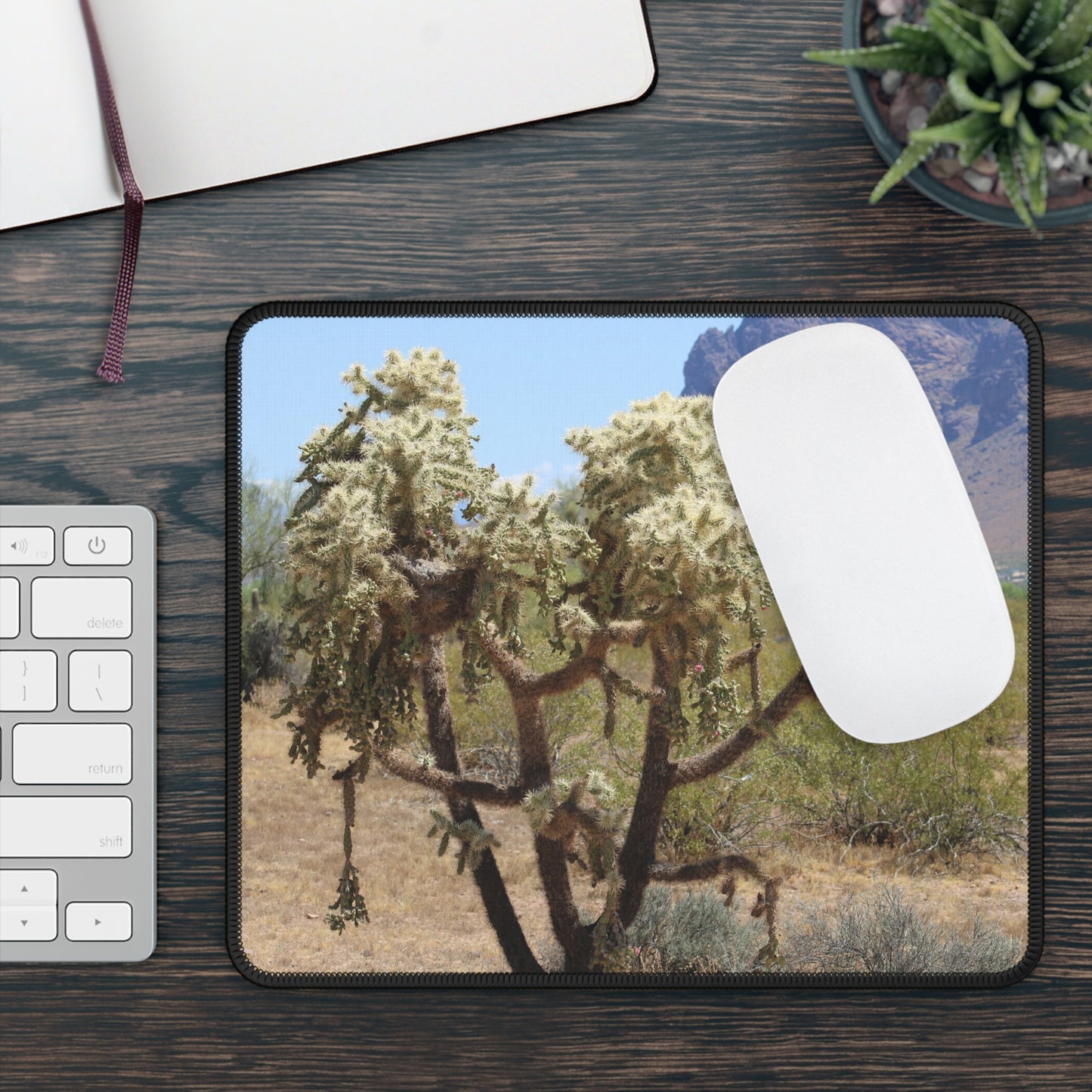 Desert Cholla Cactus Mouse Pad