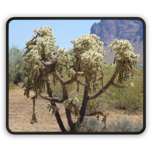 Desert Cactus Serenity Mouse Pad