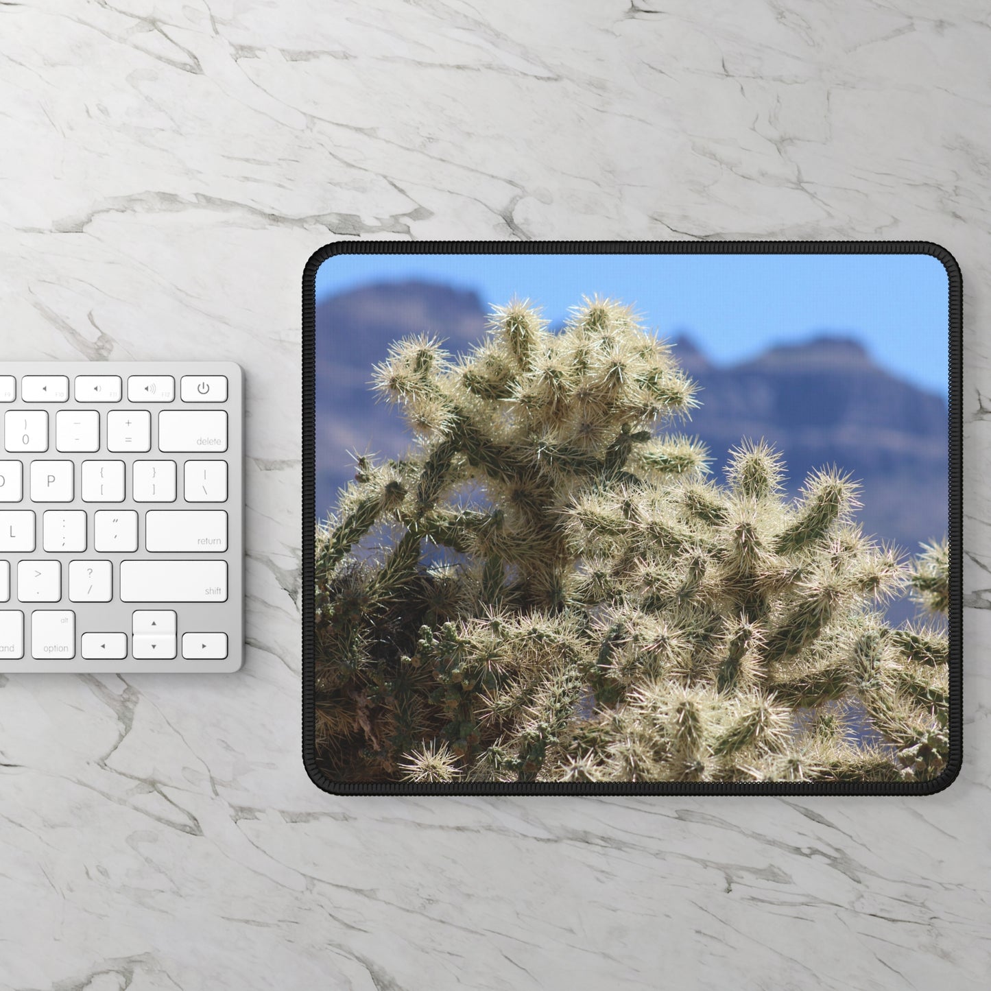 Close-Up Cholla Cactus Mouse Pad