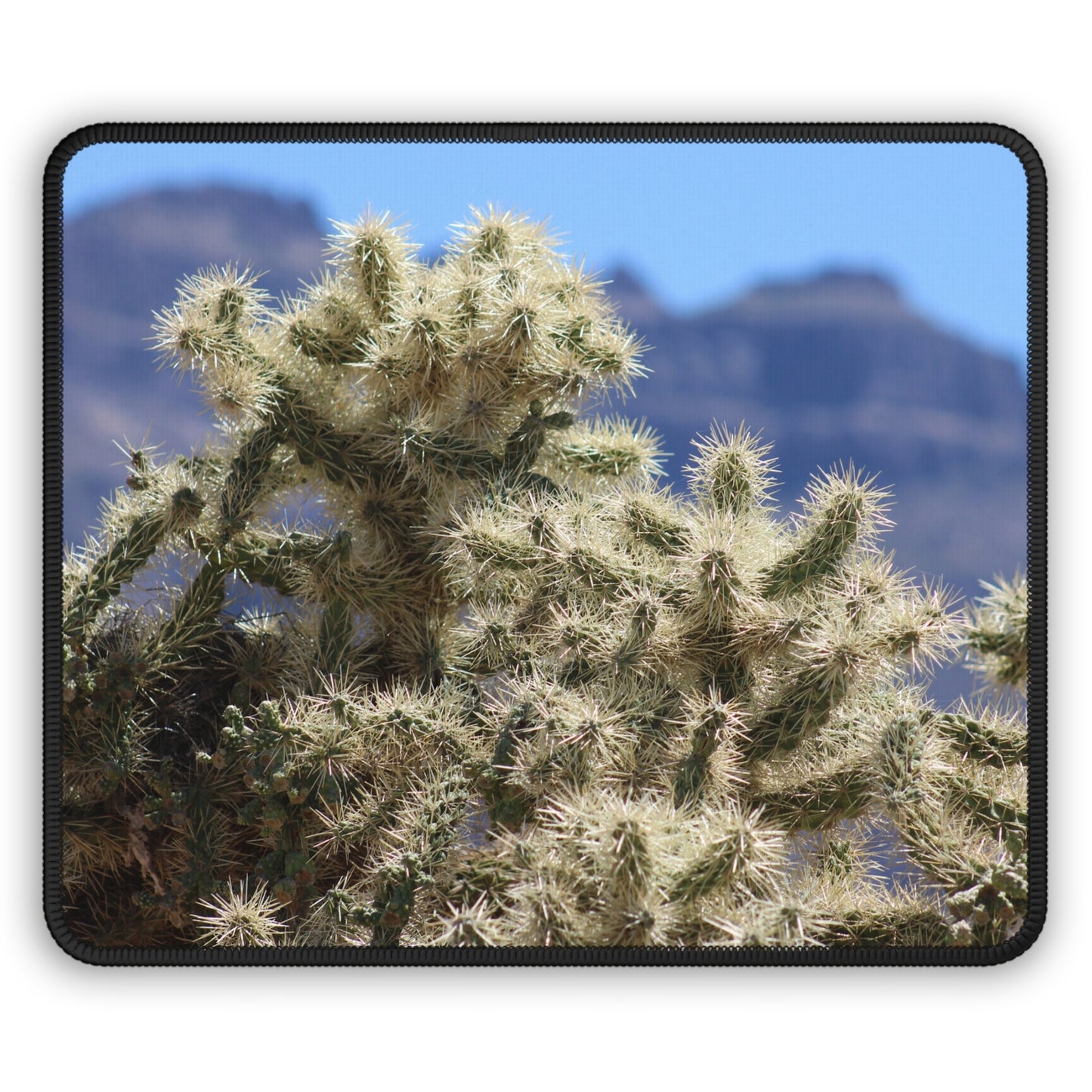 Close-Up Cholla Cactus Mouse Pad