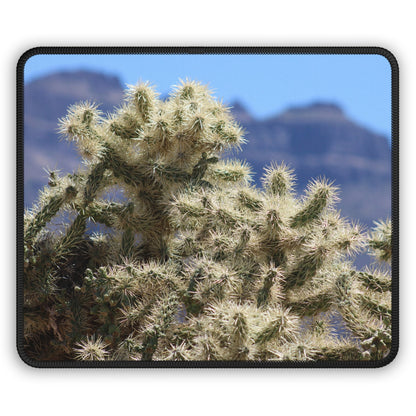Close-Up Cholla Cactus Mouse Pad