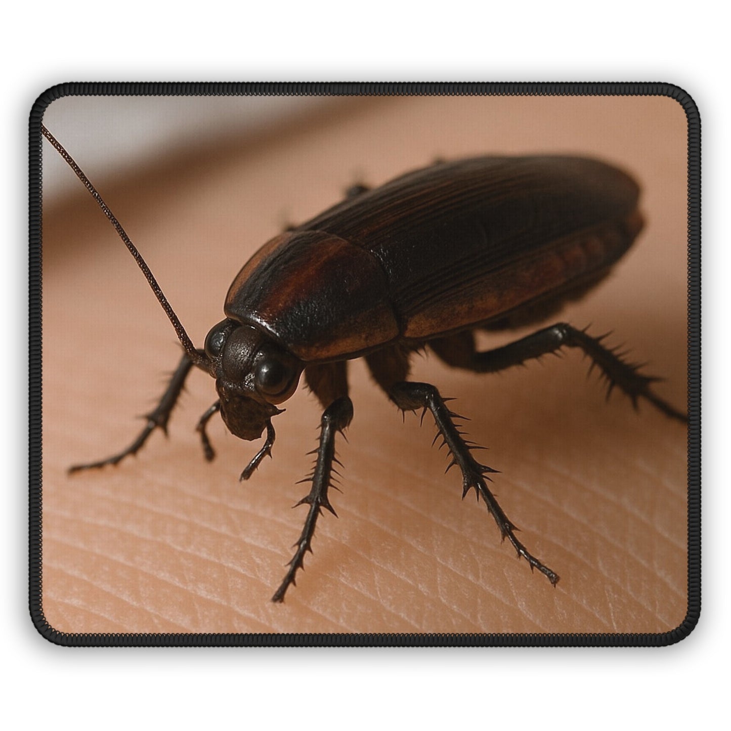 Creepy Crawly Beetle Mouse Pad
