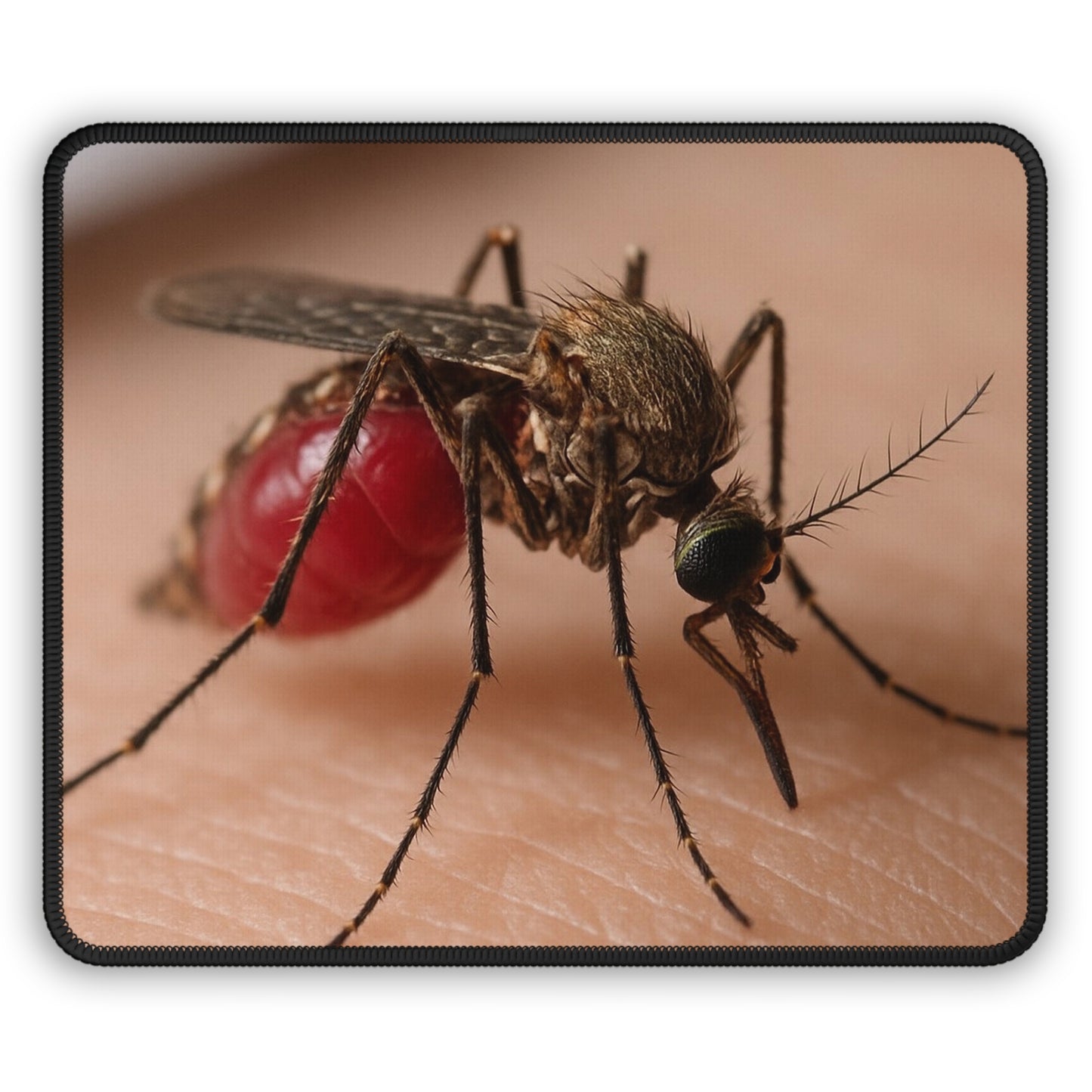 Mosquito Close-Up Mouse Pad