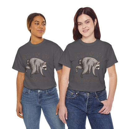 It’s OK to Be Weird Raccoon T-Shirt