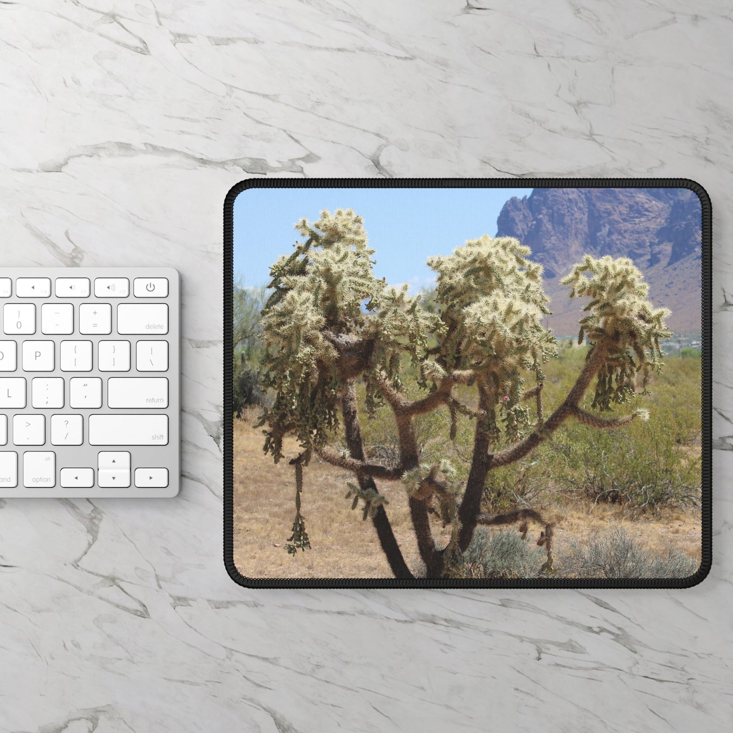 Desert Cholla Cactus Mouse Pad